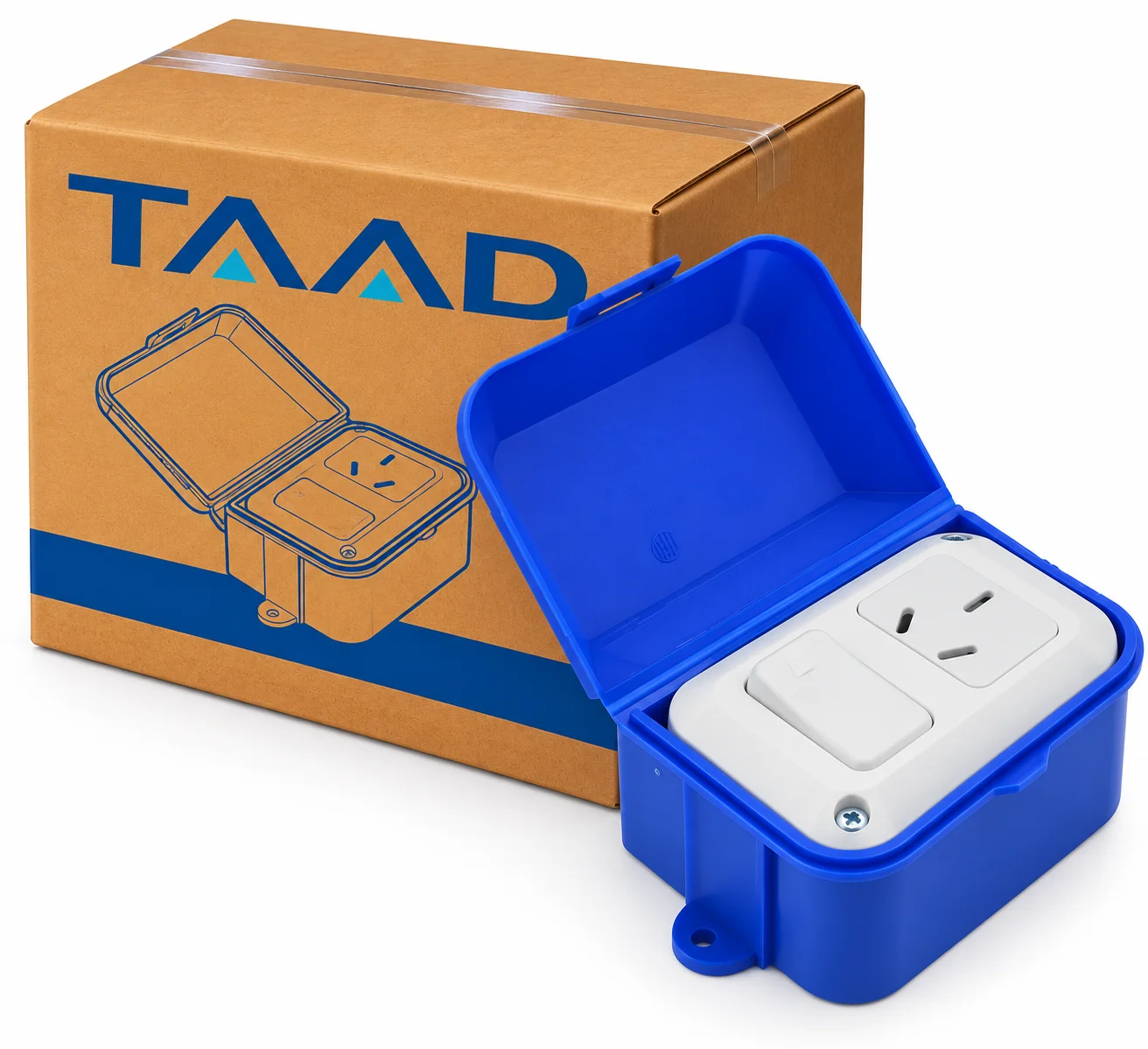 CAJA CAPSULADA EXTERIOR 1 PUNTO Y 1 TOMA AZUL